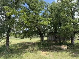 Improved Land For Sale in Stephens County , 6433 Pvt Rd 2101 Cove, Breckenridge, Texas 76424, 0, 0, Garage spaces, 0 Sqft, built in 2019, Price $229,000, mls#21304096, Real Estate Agent in Breckenridge, Homes For Sale in Stephens county, Homes For Sale in Breckenridge, Realtor in Breckenridge Texas, Real Estate Brokerage Independent Realty Texas, Luminita Cordes Realtor