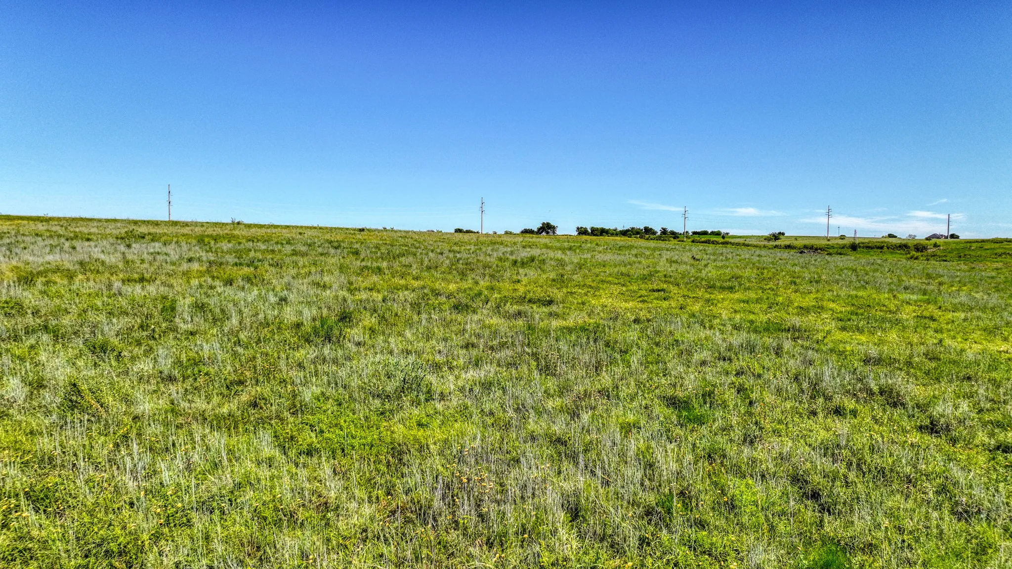 Unimproved Land For Sale in Johnson County , TBD 187 County Road 1232, Godley, Texas 76044, 0, 0, Garage spaces, 0 Sqft, built in 0, mls#21305072, Real Estate Agent in Godley, Homes For Sale in Johnson county, Homes For Sale in Godley, Realtor in Godley Texas, Real Estate Brokerage Independent Realty Texas, Luminita Cordes Realtor