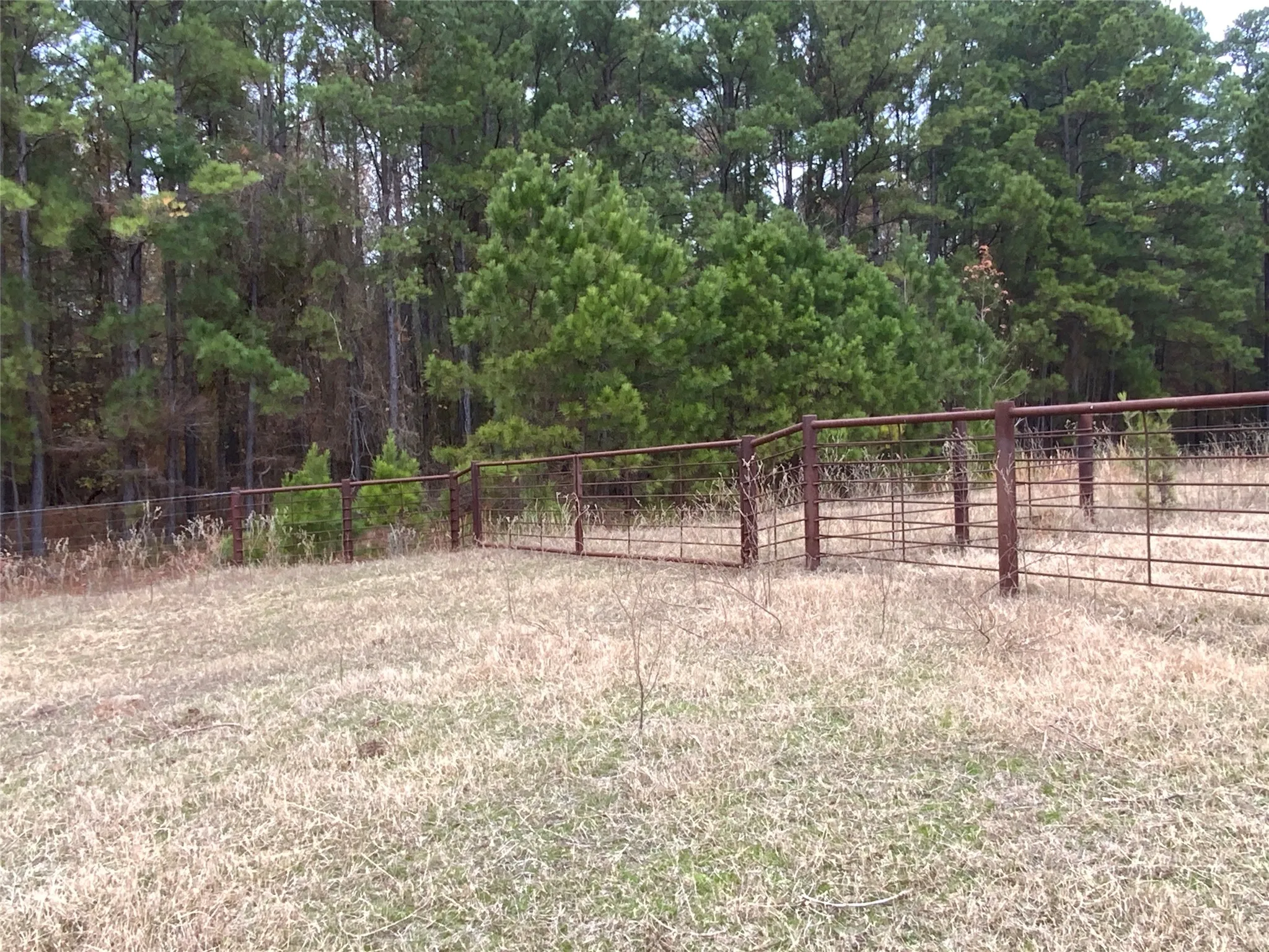 Pipe Fencing