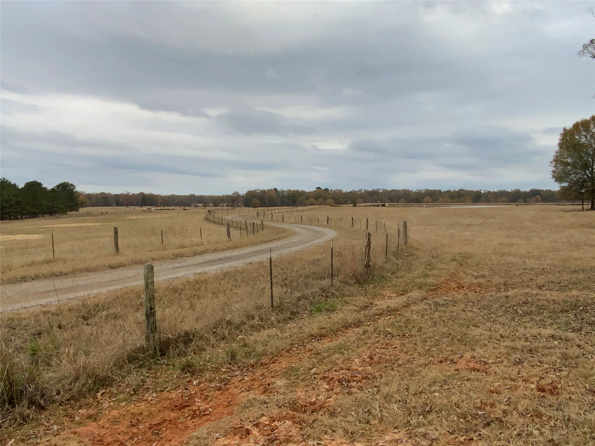 Private Road to Residence
