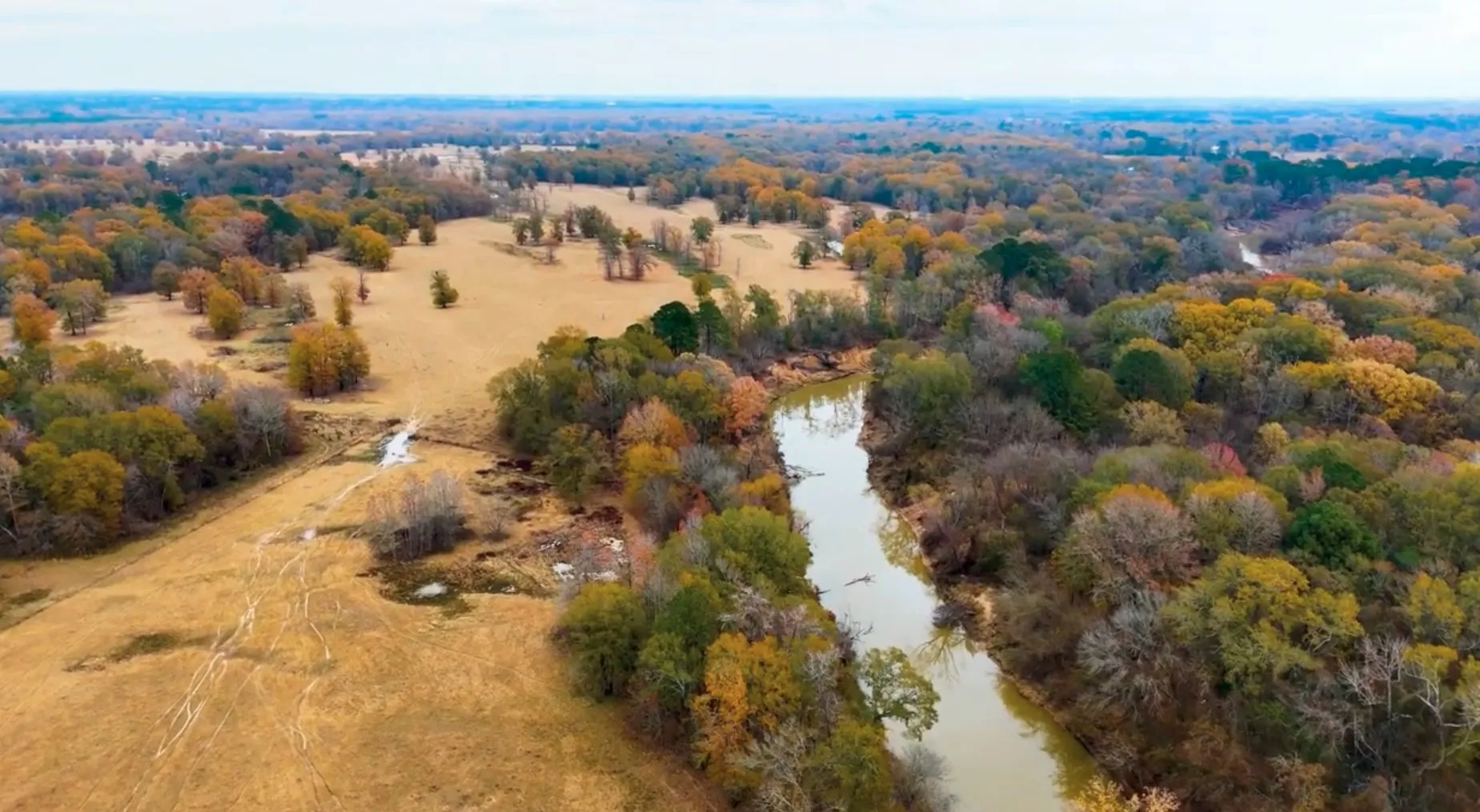 Pasture & Sabine River
view