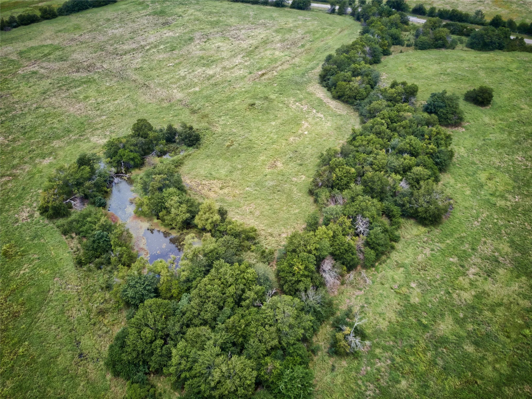 Improved Land For Sale in Fannin County , 6651 Fm 273, Bonham, Texas 75418, 0, 0, Garage spaces, 0 Sqft, built in 0, Price $1,234,485, mls#21304140, Real Estate Agent in Bonham, Homes For Sale in Fannin county, Homes For Sale in Bonham, Realtor in Bonham Texas, Real Estate Brokerage Independent Realty Texas, Luminita Cordes Realtor