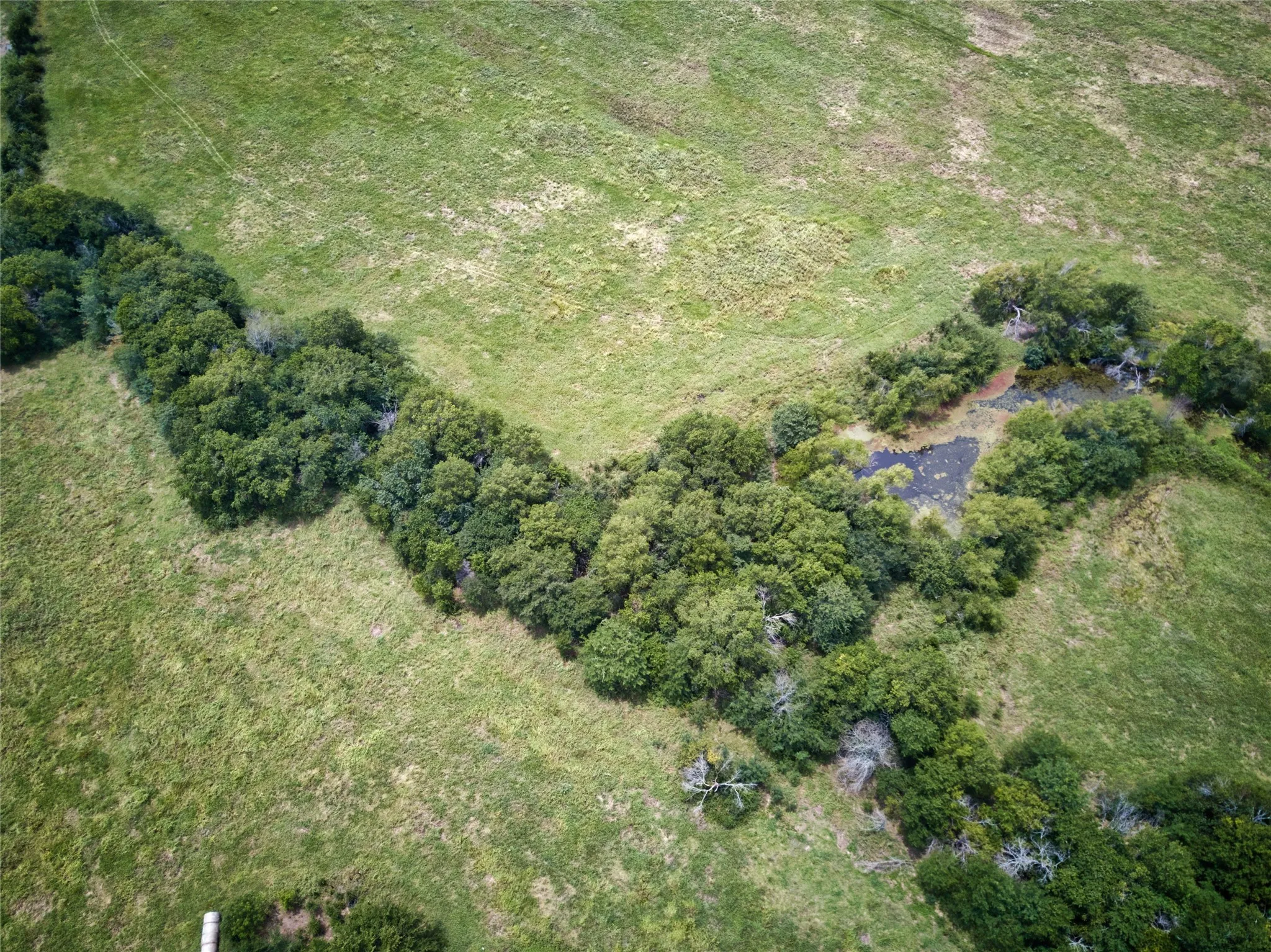 Improved Land For Sale in Fannin County , 6651 Fm 273, Bonham, Texas 75418, 0, 0, Garage spaces, 0 Sqft, built in 0, Price $1,234,485, mls#21304140, Real Estate Agent in Bonham, Homes For Sale in Fannin county, Homes For Sale in Bonham, Realtor in Bonham Texas, Real Estate Brokerage Independent Realty Texas, Luminita Cordes Realtor