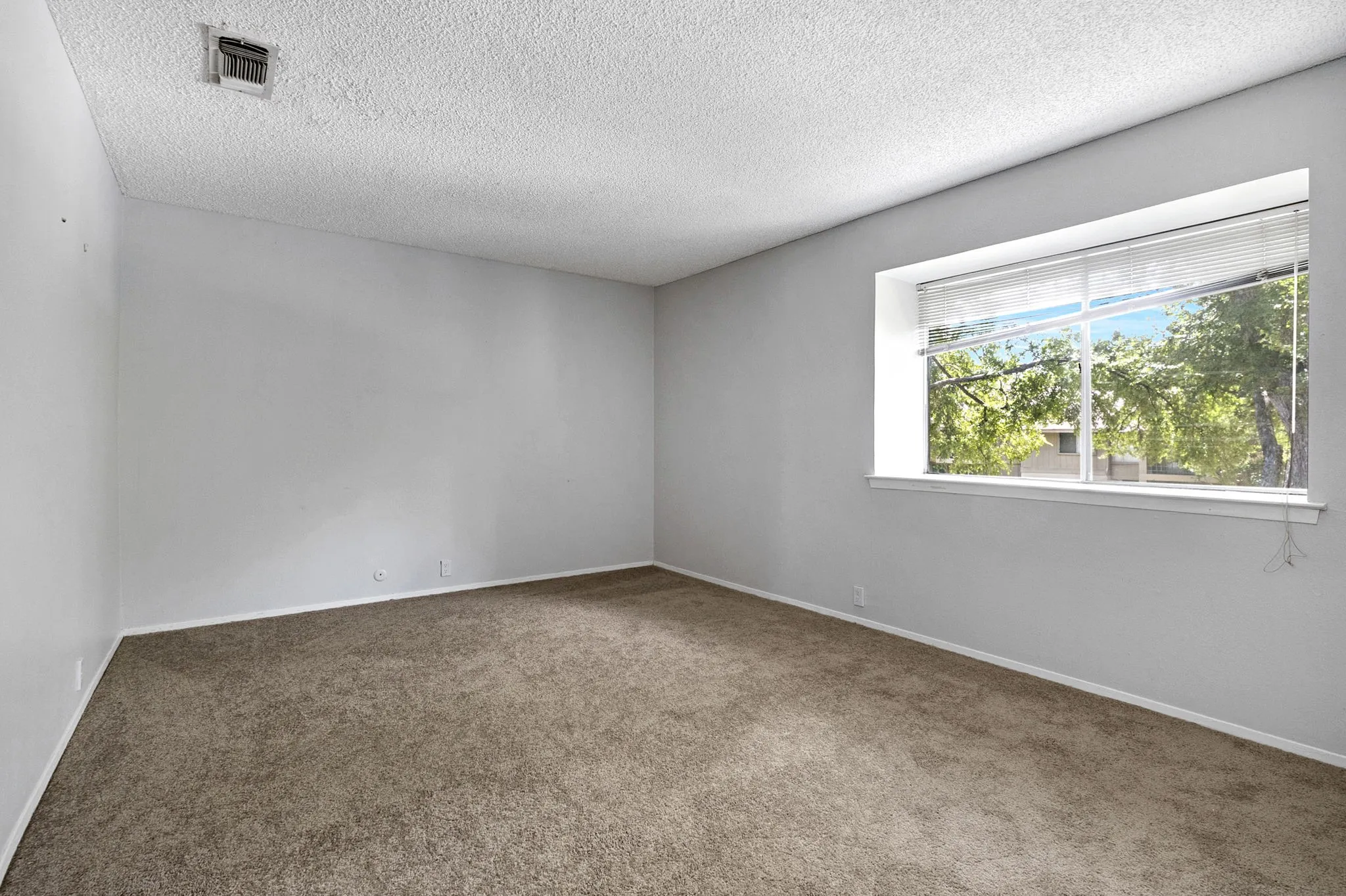 Spacious room with light gray walls and plush, neutral-toned carpeting