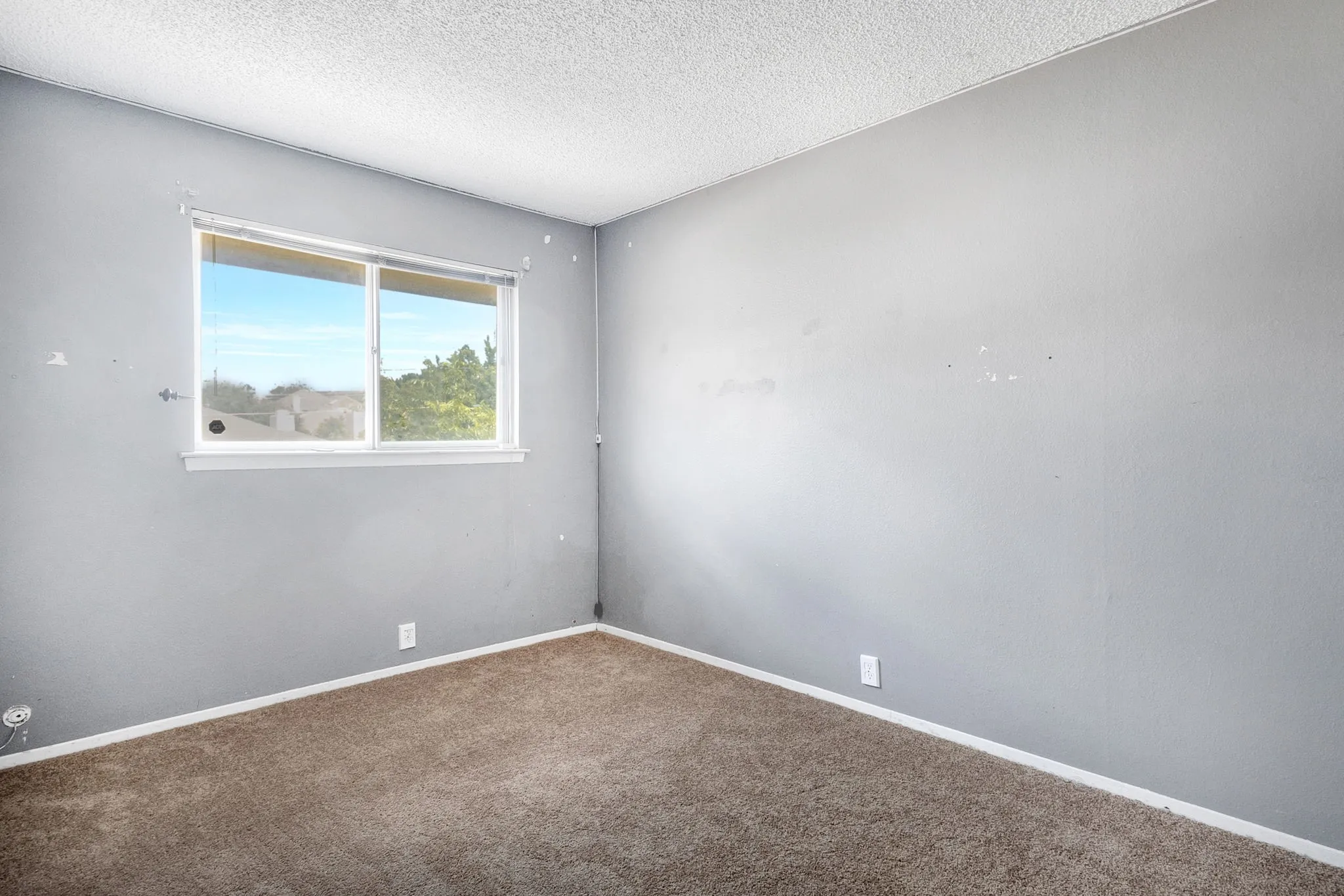 Room featuring a window with a white frame, light gray walls, brown carpet flooring, and white baseboards