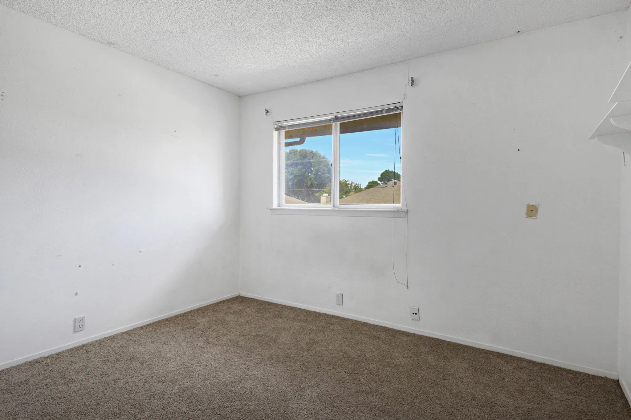 Interior room featuring neutral wall paint, a window with exterior visibility, and carpet flooring