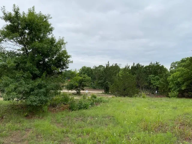 Improved Land For Sale in Grayson County , TBD Bluebonnet Drive, Van Alstyne, Texas 75495, 0, 0, Garage spaces, 0 Sqft, built in 0, Price $259,900, mls#21302918, Real Estate Agent in Van Alstyne, Homes For Sale in Grayson county, Homes For Sale in Van Alstyne, Realtor in Van Alstyne Texas, Real Estate Brokerage Independent Realty Texas, Luminita Cordes Realtor