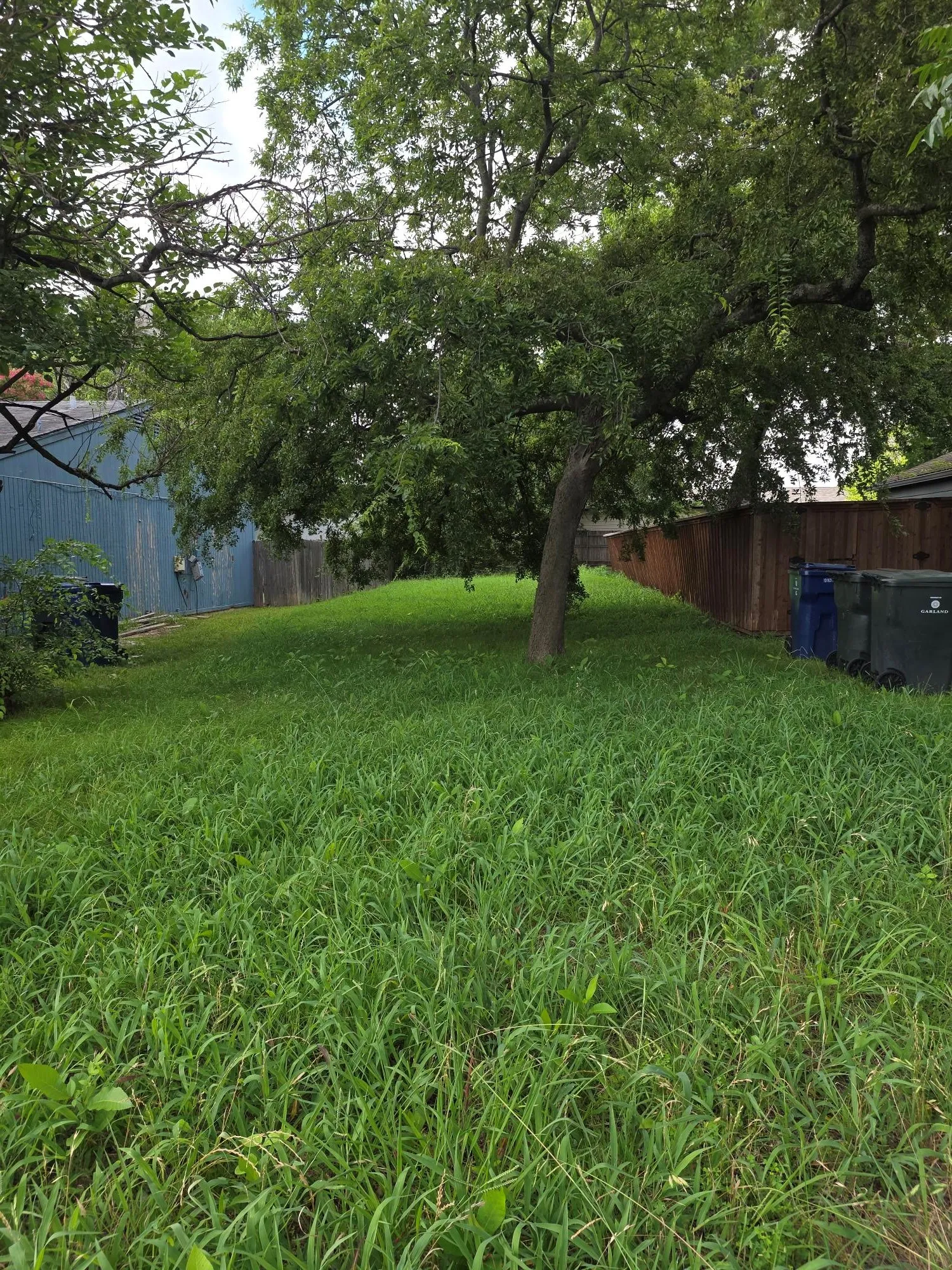 Expansive yard space featuring mature trees and a wood privacy fence
