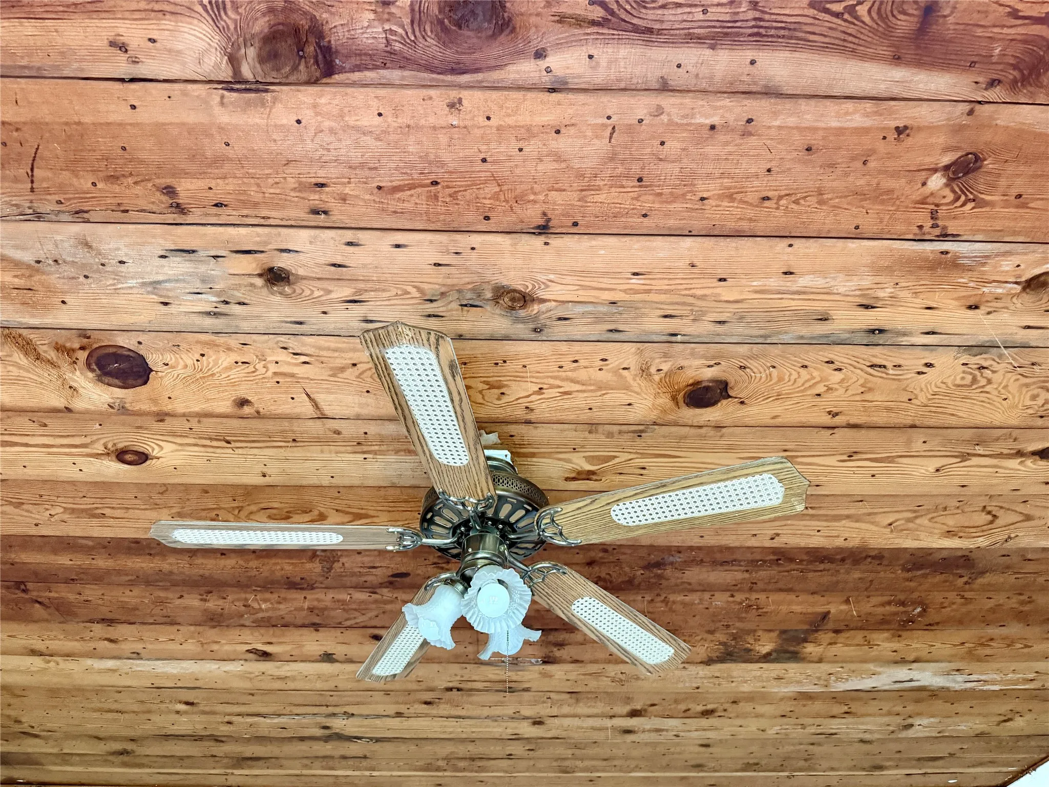 The ceiling in the dining room is lovely.
