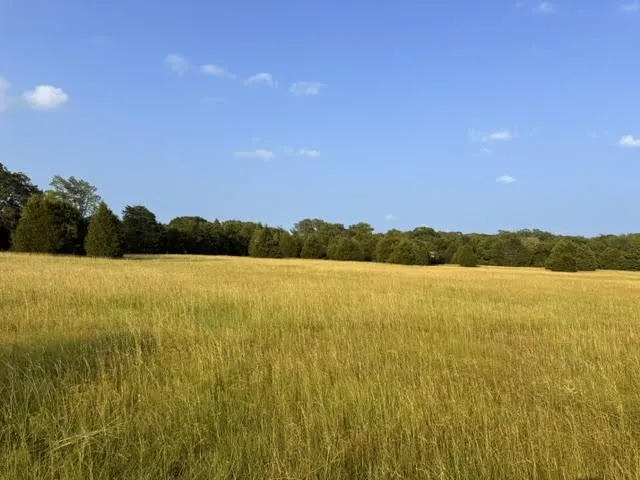 Unimproved Land For Sale in Henderson County , TBD County Road 2500, Eustace, Texas 75124, 0, 0, Garage spaces, 0 Sqft, built in 0, mls#21303875, Real Estate Agent in Eustace, Homes For Sale in Henderson county, Homes For Sale in Eustace, Realtor in Eustace Texas, Real Estate Brokerage Independent Realty Texas, Luminita Cordes Realtor