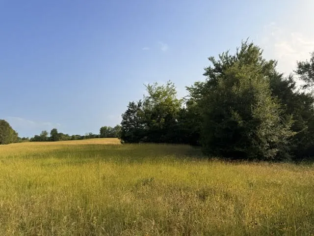 Unimproved Land For Sale in Henderson County , TBD County Road 2500, Eustace, Texas 75124, 0, 0, Garage spaces, 0 Sqft, built in 0, mls#21303875, Real Estate Agent in Eustace, Homes For Sale in Henderson county, Homes For Sale in Eustace, Realtor in Eustace Texas, Real Estate Brokerage Independent Realty Texas, Luminita Cordes Realtor