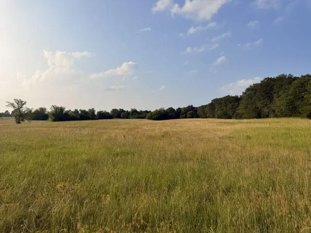Unimproved Land For Sale in Henderson County , TBD County Road 2500, Eustace, Texas 75124, 0, 0, Garage spaces, 0 Sqft, built in 0, mls#21303875, Real Estate Agent in Eustace, Homes For Sale in Henderson county, Homes For Sale in Eustace, Realtor in Eustace Texas, Real Estate Brokerage Independent Realty Texas, Luminita Cordes Realtor