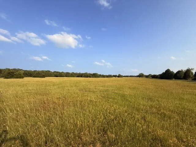 Unimproved Land For Sale in Henderson County , TBD County Road 2500, Eustace, Texas 75124, 0, 0, Garage spaces, 0 Sqft, built in 0, mls#21303875, Real Estate Agent in Eustace, Homes For Sale in Henderson county, Homes For Sale in Eustace, Realtor in Eustace Texas, Real Estate Brokerage Independent Realty Texas, Luminita Cordes Realtor