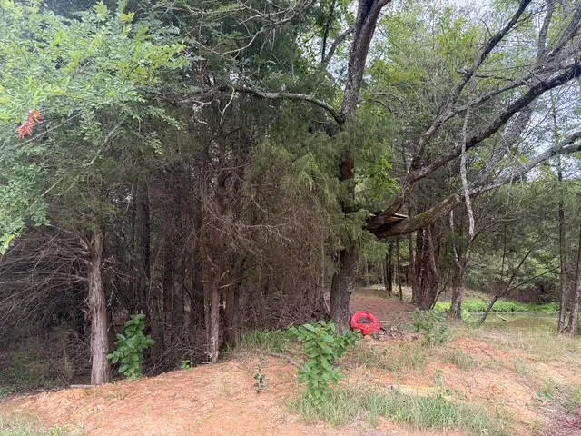 Unimproved Land For Sale in Henderson County , TBD County Road 2500, Eustace, Texas 75124, 0, 0, Garage spaces, 0 Sqft, built in 0, mls#21303875, Real Estate Agent in Eustace, Homes For Sale in Henderson county, Homes For Sale in Eustace, Realtor in Eustace Texas, Real Estate Brokerage Independent Realty Texas, Luminita Cordes Realtor