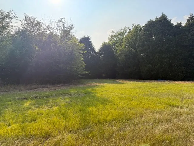 Unimproved Land For Sale in Henderson County , TBD County Road 2500, Eustace, Texas 75124, 0, 0, Garage spaces, 0 Sqft, built in 0, mls#21303875, Real Estate Agent in Eustace, Homes For Sale in Henderson county, Homes For Sale in Eustace, Realtor in Eustace Texas, Real Estate Brokerage Independent Realty Texas, Luminita Cordes Realtor