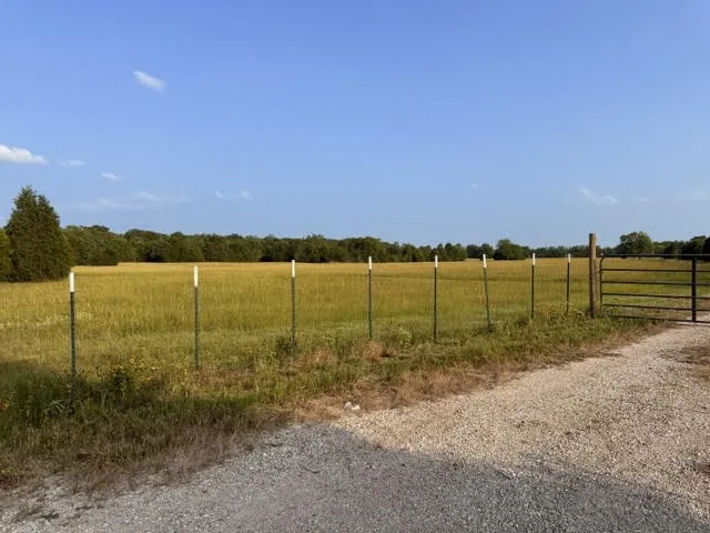 Unimproved Land For Sale in Henderson County , TBD County Road 2500, Eustace, Texas 75124, 0, 0, Garage spaces, 0 Sqft, built in 0, mls#21303875, Real Estate Agent in Eustace, Homes For Sale in Henderson county, Homes For Sale in Eustace, Realtor in Eustace Texas, Real Estate Brokerage Independent Realty Texas, Luminita Cordes Realtor
