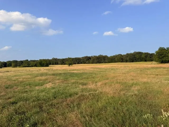 Unimproved Land For Sale in Henderson County , TBD County Road 2500, Eustace, Texas 75124, 0, 0, Garage spaces, 0 Sqft, built in 0, mls#21303875, Real Estate Agent in Eustace, Homes For Sale in Henderson county, Homes For Sale in Eustace, Realtor in Eustace Texas, Real Estate Brokerage Independent Realty Texas, Luminita Cordes Realtor