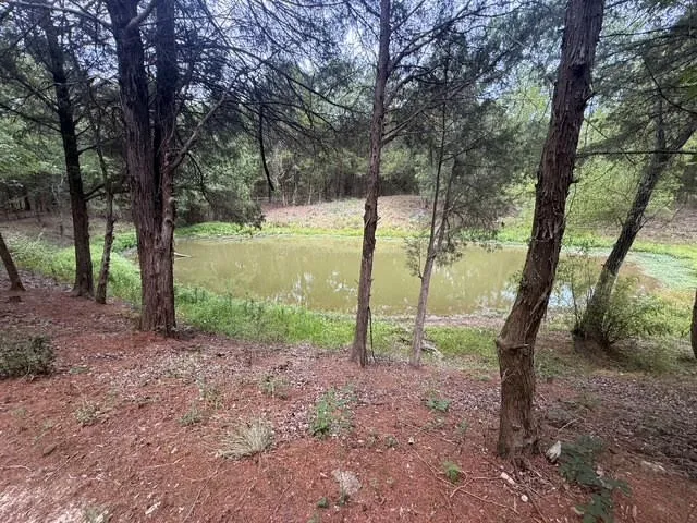 Unimproved Land For Sale in Henderson County , TBD County Road 2500, Eustace, Texas 75124, 0, 0, Garage spaces, 0 Sqft, built in 0, mls#21303875, Real Estate Agent in Eustace, Homes For Sale in Henderson county, Homes For Sale in Eustace, Realtor in Eustace Texas, Real Estate Brokerage Independent Realty Texas, Luminita Cordes Realtor