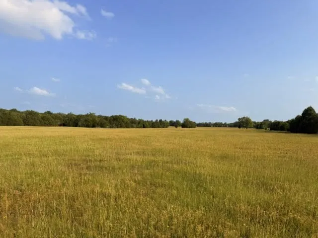 Unimproved Land For Sale in Henderson County , TBD County Road 2500, Eustace, Texas 75124, 0, 0, Garage spaces, 0 Sqft, built in 0, mls#21303875, Real Estate Agent in Eustace, Homes For Sale in Henderson county, Homes For Sale in Eustace, Realtor in Eustace Texas, Real Estate Brokerage Independent Realty Texas, Luminita Cordes Realtor
