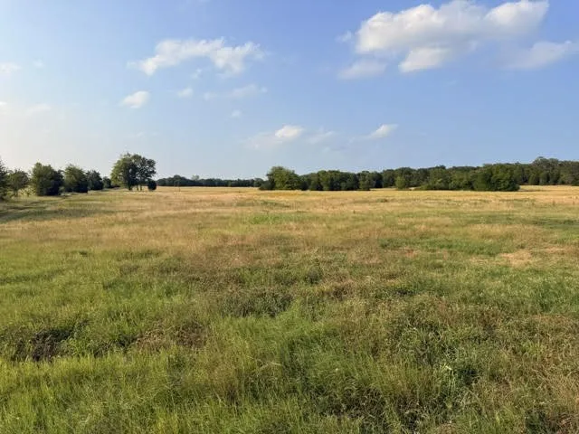 Unimproved Land For Sale in Henderson County , TBD County Road 2500, Eustace, Texas 75124, 0, 0, Garage spaces, 0 Sqft, built in 0, mls#21303875, Real Estate Agent in Eustace, Homes For Sale in Henderson county, Homes For Sale in Eustace, Realtor in Eustace Texas, Real Estate Brokerage Independent Realty Texas, Luminita Cordes Realtor