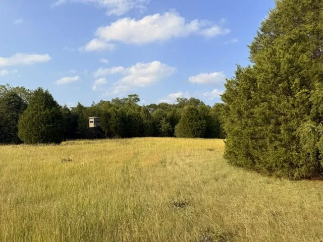 Unimproved Land For Sale in Henderson County , TBD County Road 2500, Eustace, Texas 75124, 0, 0, Garage spaces, 0 Sqft, built in 0, mls#21303875, Real Estate Agent in Eustace, Homes For Sale in Henderson county, Homes For Sale in Eustace, Realtor in Eustace Texas, Real Estate Brokerage Independent Realty Texas, Luminita Cordes Realtor