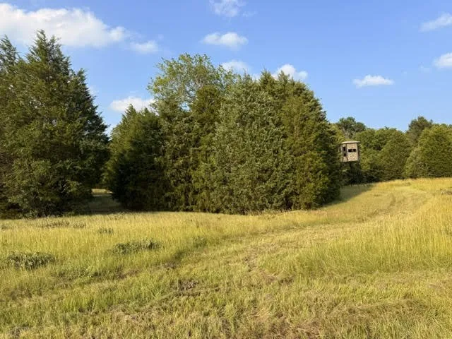 Unimproved Land For Sale in Henderson County , TBD County Road 2500, Eustace, Texas 75124, 0, 0, Garage spaces, 0 Sqft, built in 0, mls#21303875, Real Estate Agent in Eustace, Homes For Sale in Henderson county, Homes For Sale in Eustace, Realtor in Eustace Texas, Real Estate Brokerage Independent Realty Texas, Luminita Cordes Realtor