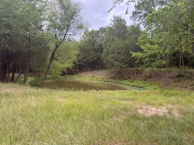 Unimproved Land For Sale in Henderson County , TBD County Road 2500, Eustace, Texas 75124, 0, 0, Garage spaces, 0 Sqft, built in 0, mls#21303875, Real Estate Agent in Eustace, Homes For Sale in Henderson county, Homes For Sale in Eustace, Realtor in Eustace Texas, Real Estate Brokerage Independent Realty Texas, Luminita Cordes Realtor