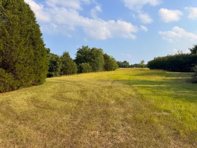 Unimproved Land For Sale in Henderson County , TBD County Road 2500, Eustace, Texas 75124, 0, 0, Garage spaces, 0 Sqft, built in 0, mls#21303875, Real Estate Agent in Eustace, Homes For Sale in Henderson county, Homes For Sale in Eustace, Realtor in Eustace Texas, Real Estate Brokerage Independent Realty Texas, Luminita Cordes Realtor