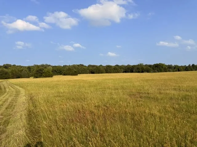 Unimproved Land For Sale in Henderson County , TBD County Road 2500, Eustace, Texas 75124, 0, 0, Garage spaces, 0 Sqft, built in 0, mls#21303875, Real Estate Agent in Eustace, Homes For Sale in Henderson county, Homes For Sale in Eustace, Realtor in Eustace Texas, Real Estate Brokerage Independent Realty Texas, Luminita Cordes Realtor