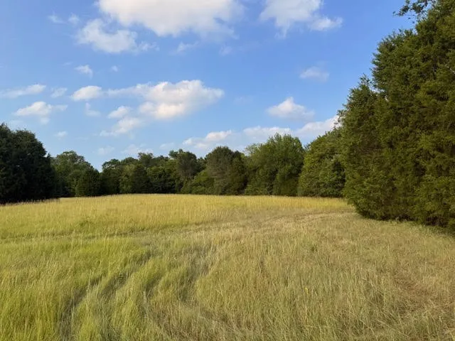 Unimproved Land For Sale in Henderson County , TBD County Road 2500, Eustace, Texas 75124, 0, 0, Garage spaces, 0 Sqft, built in 0, mls#21303875, Real Estate Agent in Eustace, Homes For Sale in Henderson county, Homes For Sale in Eustace, Realtor in Eustace Texas, Real Estate Brokerage Independent Realty Texas, Luminita Cordes Realtor