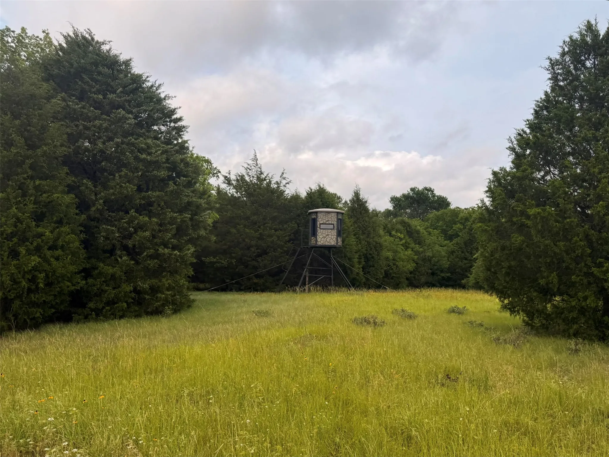 Unimproved Land For Sale in Henderson County , TBD County Road 2500, Eustace, Texas 75124, 0, 0, Garage spaces, 0 Sqft, built in 0, mls#21303875, Real Estate Agent in Eustace, Homes For Sale in Henderson county, Homes For Sale in Eustace, Realtor in Eustace Texas, Real Estate Brokerage Independent Realty Texas, Luminita Cordes Realtor