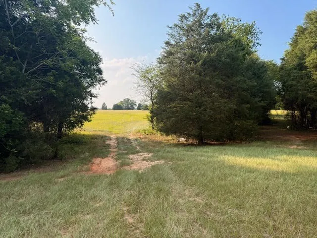 Unimproved Land For Sale in Henderson County , TBD County Road 2500, Eustace, Texas 75124, 0, 0, Garage spaces, 0 Sqft, built in 0, mls#21303875, Real Estate Agent in Eustace, Homes For Sale in Henderson county, Homes For Sale in Eustace, Realtor in Eustace Texas, Real Estate Brokerage Independent Realty Texas, Luminita Cordes Realtor