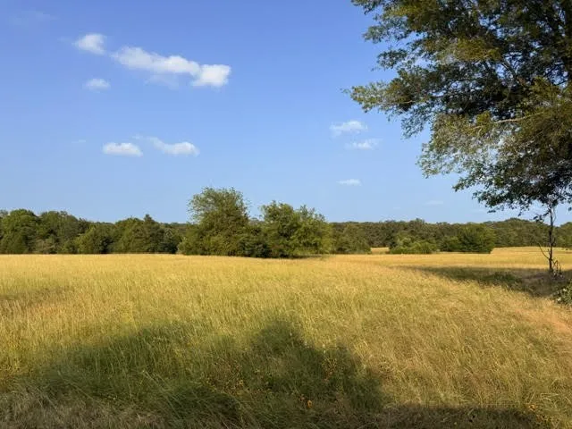 Unimproved Land For Sale in Henderson County , TBD County Road 2500, Eustace, Texas 75124, 0, 0, Garage spaces, 0 Sqft, built in 0, mls#21303875, Real Estate Agent in Eustace, Homes For Sale in Henderson county, Homes For Sale in Eustace, Realtor in Eustace Texas, Real Estate Brokerage Independent Realty Texas, Luminita Cordes Realtor