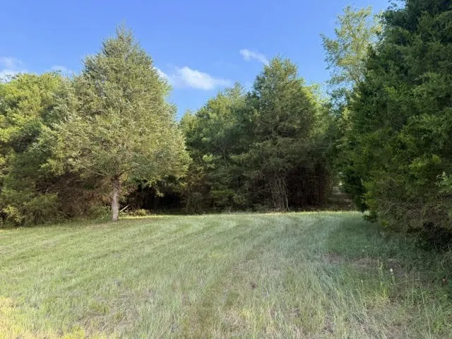 Unimproved Land For Sale in Henderson County , TBD County Road 2500, Eustace, Texas 75124, 0, 0, Garage spaces, 0 Sqft, built in 0, mls#21303875, Real Estate Agent in Eustace, Homes For Sale in Henderson county, Homes For Sale in Eustace, Realtor in Eustace Texas, Real Estate Brokerage Independent Realty Texas, Luminita Cordes Realtor