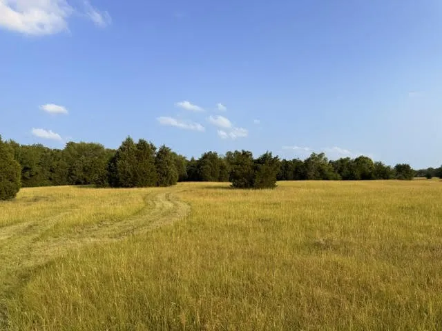 Unimproved Land For Sale in Henderson County , TBD County Road 2500, Eustace, Texas 75124, 0, 0, Garage spaces, 0 Sqft, built in 0, mls#21303875, Real Estate Agent in Eustace, Homes For Sale in Henderson county, Homes For Sale in Eustace, Realtor in Eustace Texas, Real Estate Brokerage Independent Realty Texas, Luminita Cordes Realtor