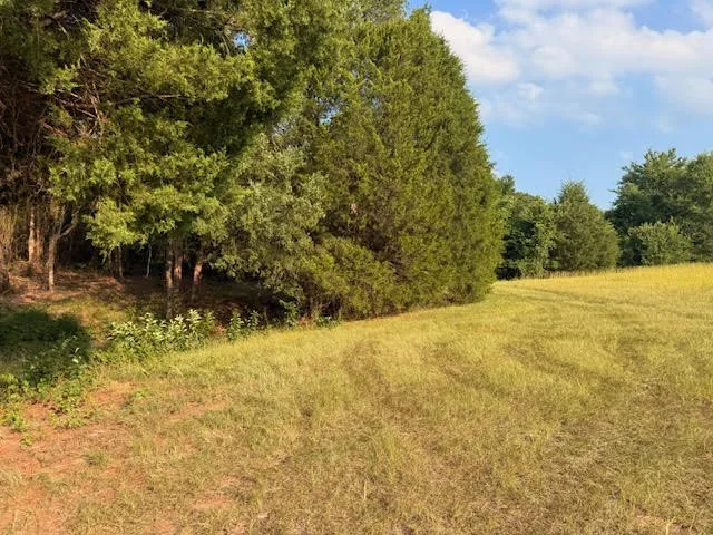 Unimproved Land For Sale in Henderson County , TBD County Road 2500, Eustace, Texas 75124, 0, 0, Garage spaces, 0 Sqft, built in 0, mls#21303875, Real Estate Agent in Eustace, Homes For Sale in Henderson county, Homes For Sale in Eustace, Realtor in Eustace Texas, Real Estate Brokerage Independent Realty Texas, Luminita Cordes Realtor