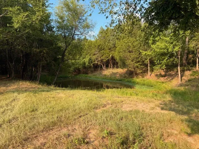 Unimproved Land For Sale in Henderson County , TBD County Road 2500, Eustace, Texas 75124, 0, 0, Garage spaces, 0 Sqft, built in 0, mls#21303875, Real Estate Agent in Eustace, Homes For Sale in Henderson county, Homes For Sale in Eustace, Realtor in Eustace Texas, Real Estate Brokerage Independent Realty Texas, Luminita Cordes Realtor