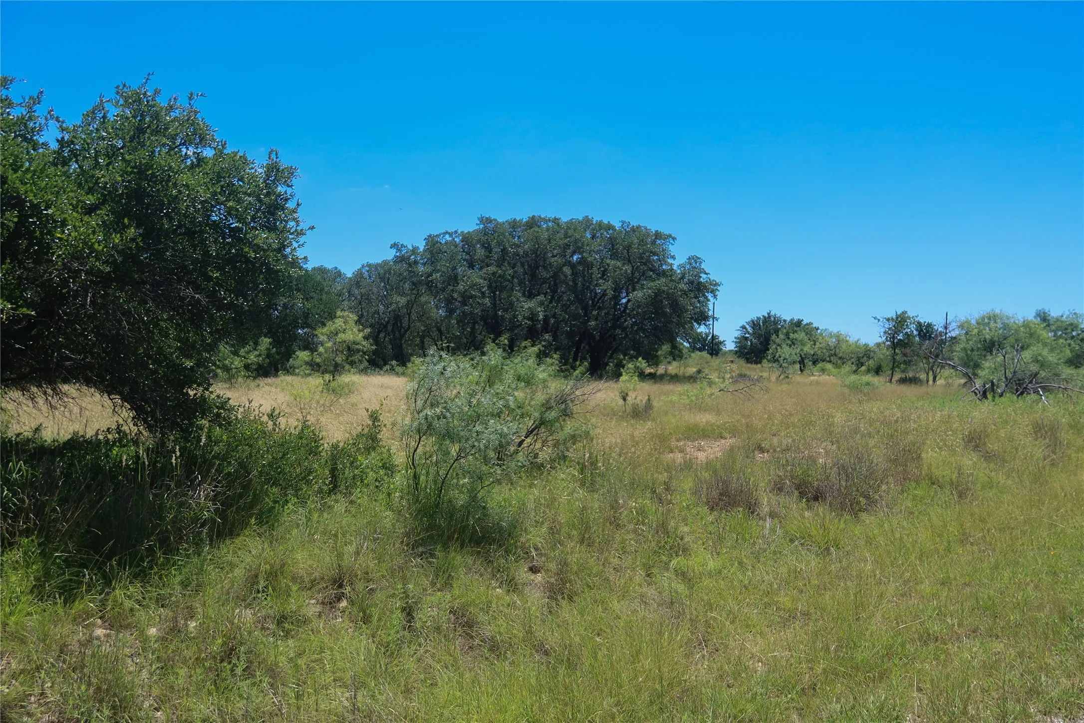 Expansive natural land featuring mature trees and varied indigenous vegetation