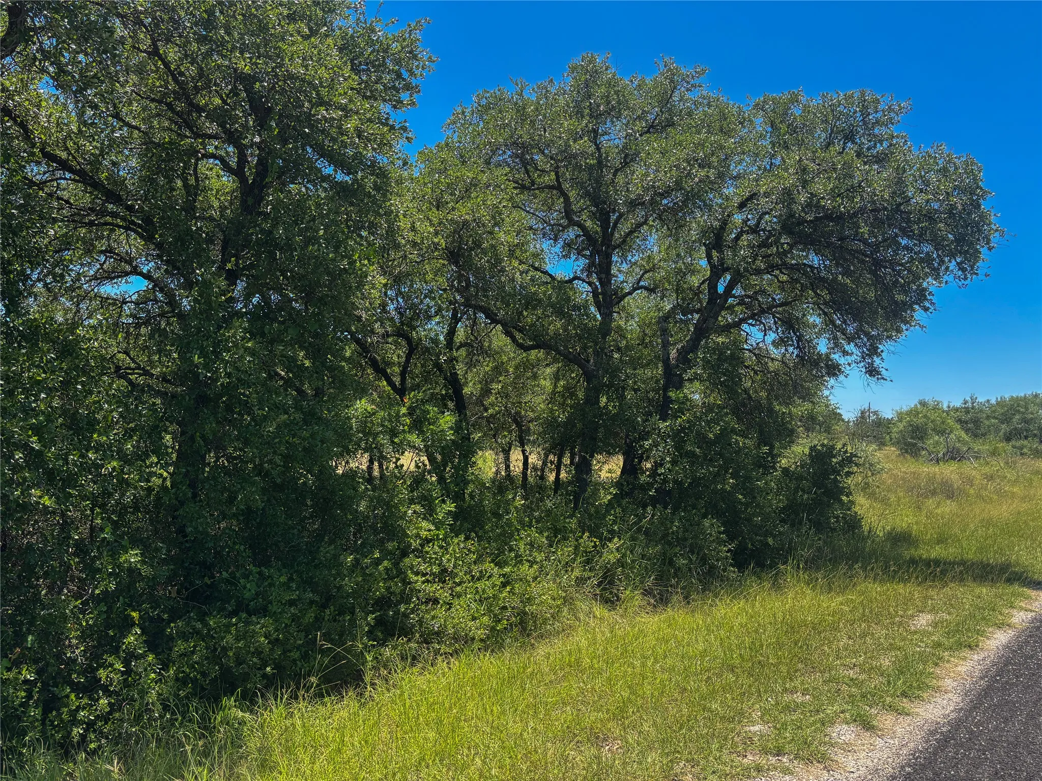 Unimproved Land For Sale in Brown County , LOT #468 Feather Bay Drive, Brownwood, Texas 76801, 0, 0, Garage spaces, 0 Sqft, built in 0, mls#21304701, Real Estate Agent in Brownwood, Homes For Sale in Brown county, Homes For Sale in Brownwood, Realtor in Brownwood Texas, Real Estate Brokerage Independent Realty Texas, Luminita Cordes Realtor
