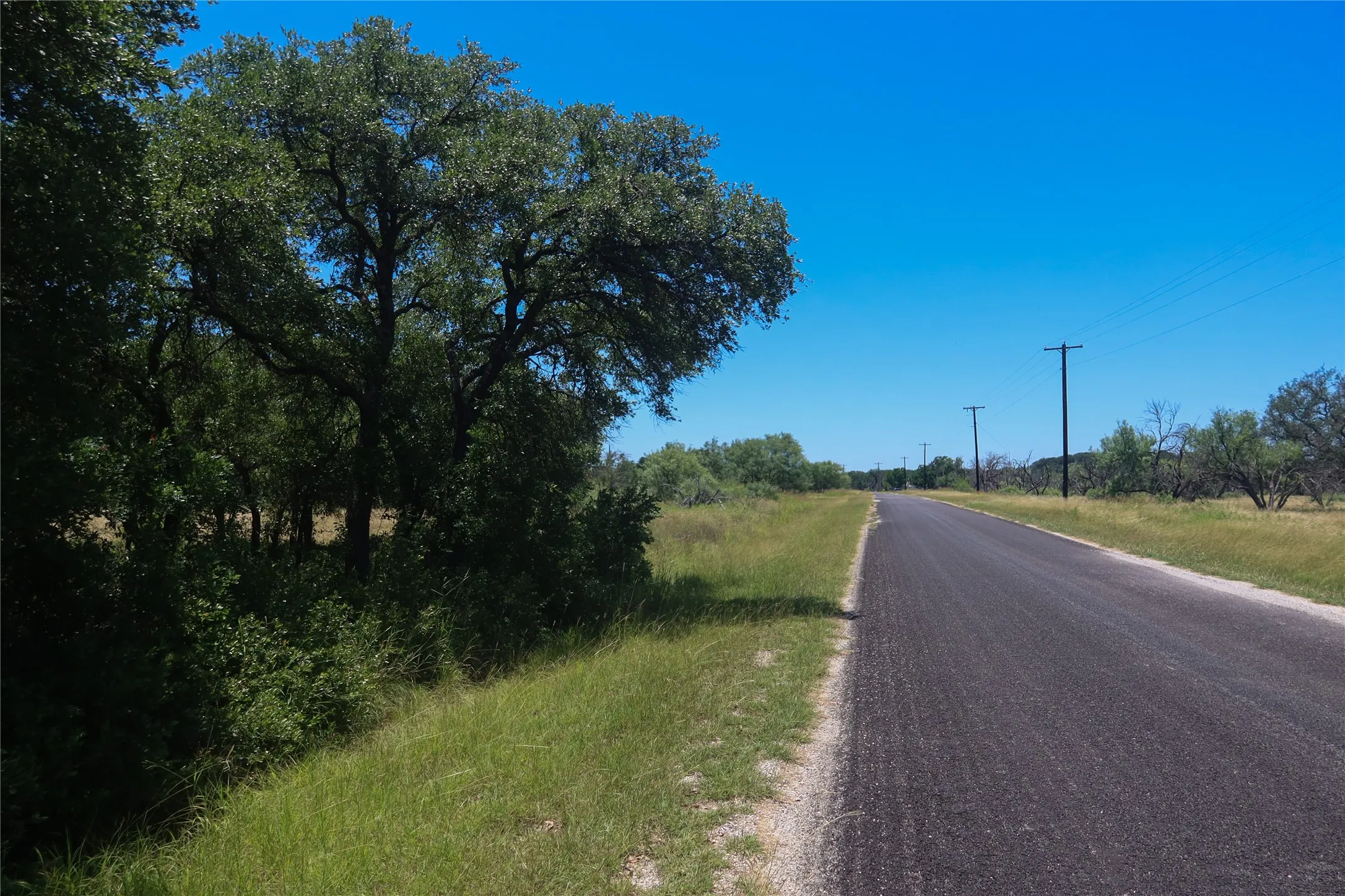 Paved road with adjacent green spaces and mature trees