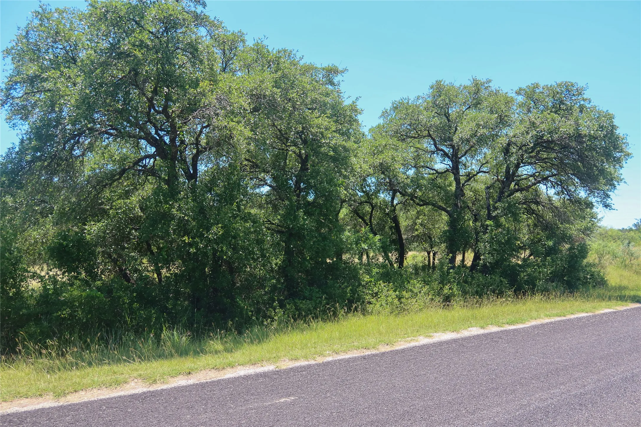 Mature trees border the property, featuring a paved road and natural landscaping