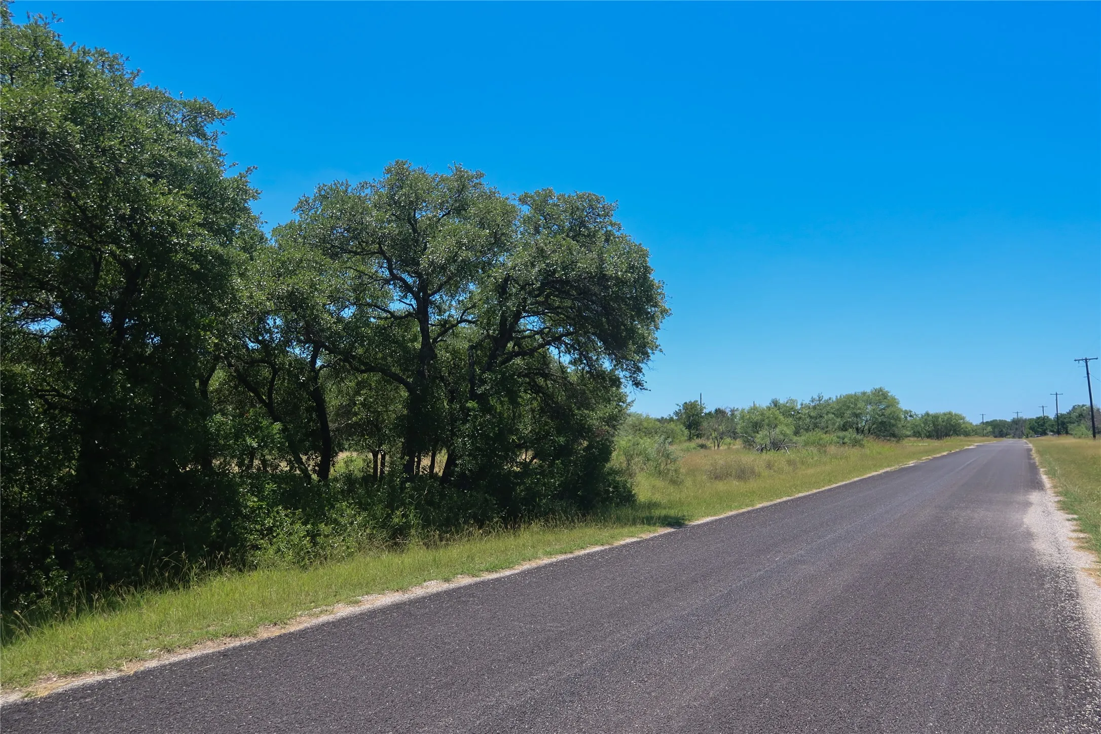 Paved road frontage with mature tree coverage