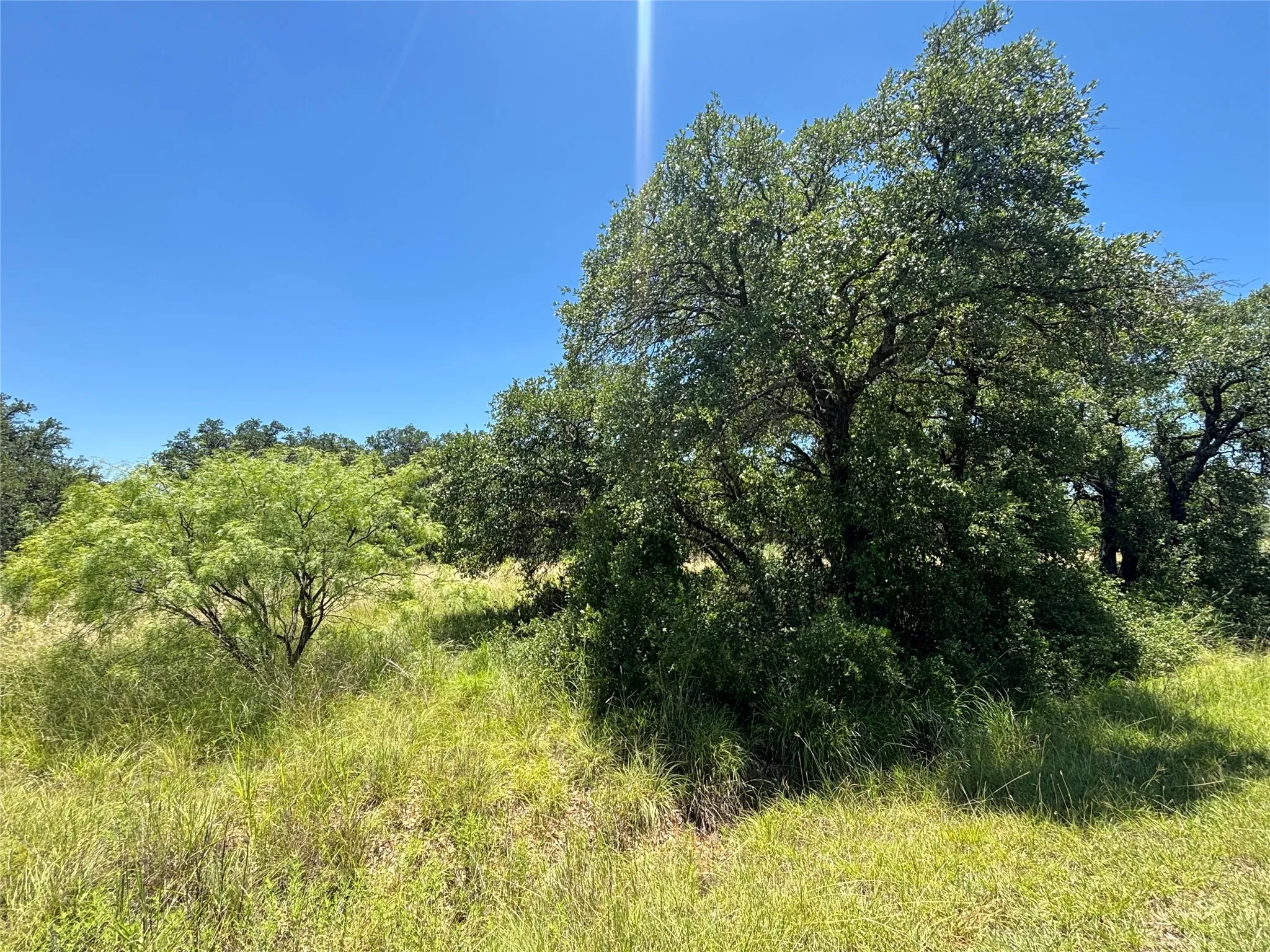 Expansive acreage featuring abundant mature trees and natural vegetation