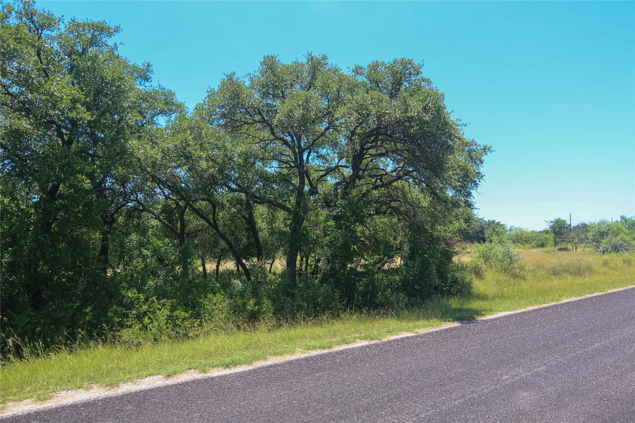 Expansive undeveloped lot featuring mature trees and native vegetation, bordered by a paved road