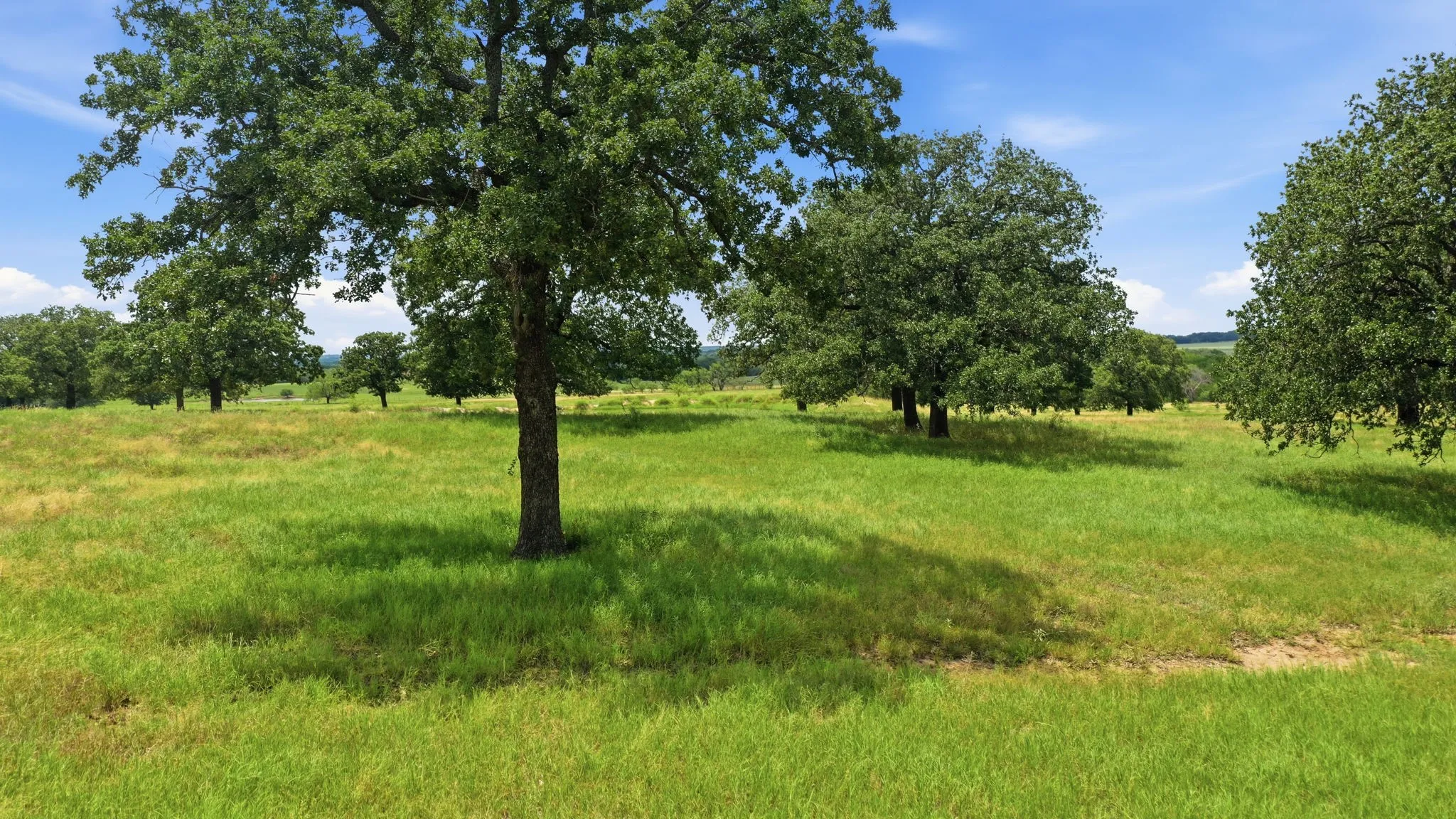 Pasture