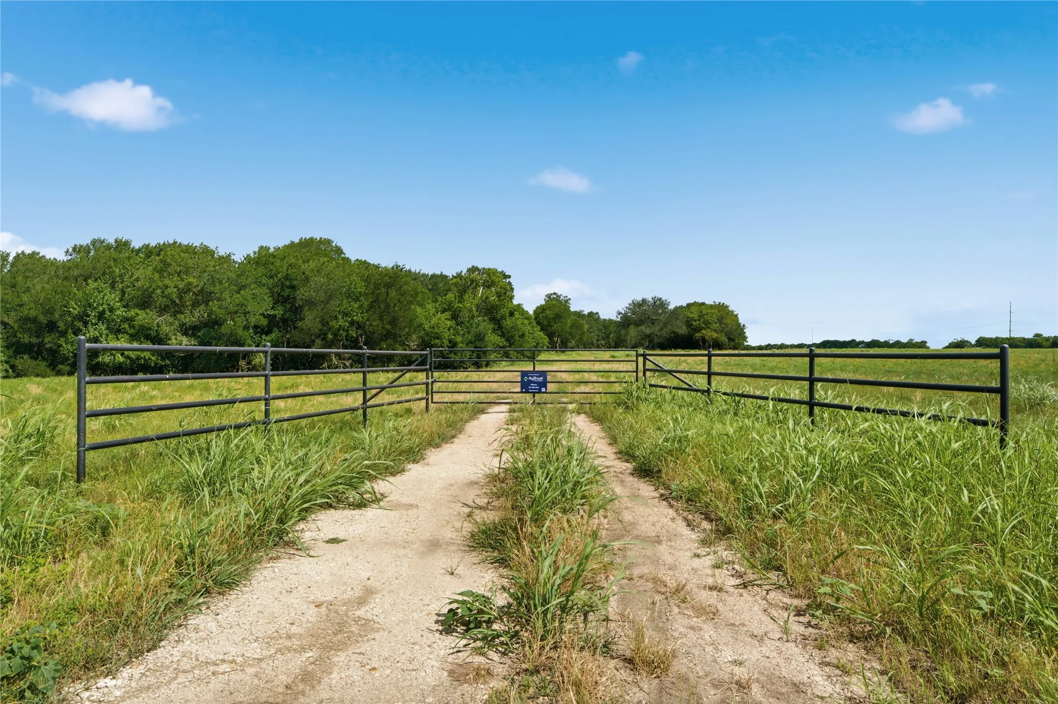 Expansive land parcel featuring a gravel driveway, metal gate, and mature trees bordering the property