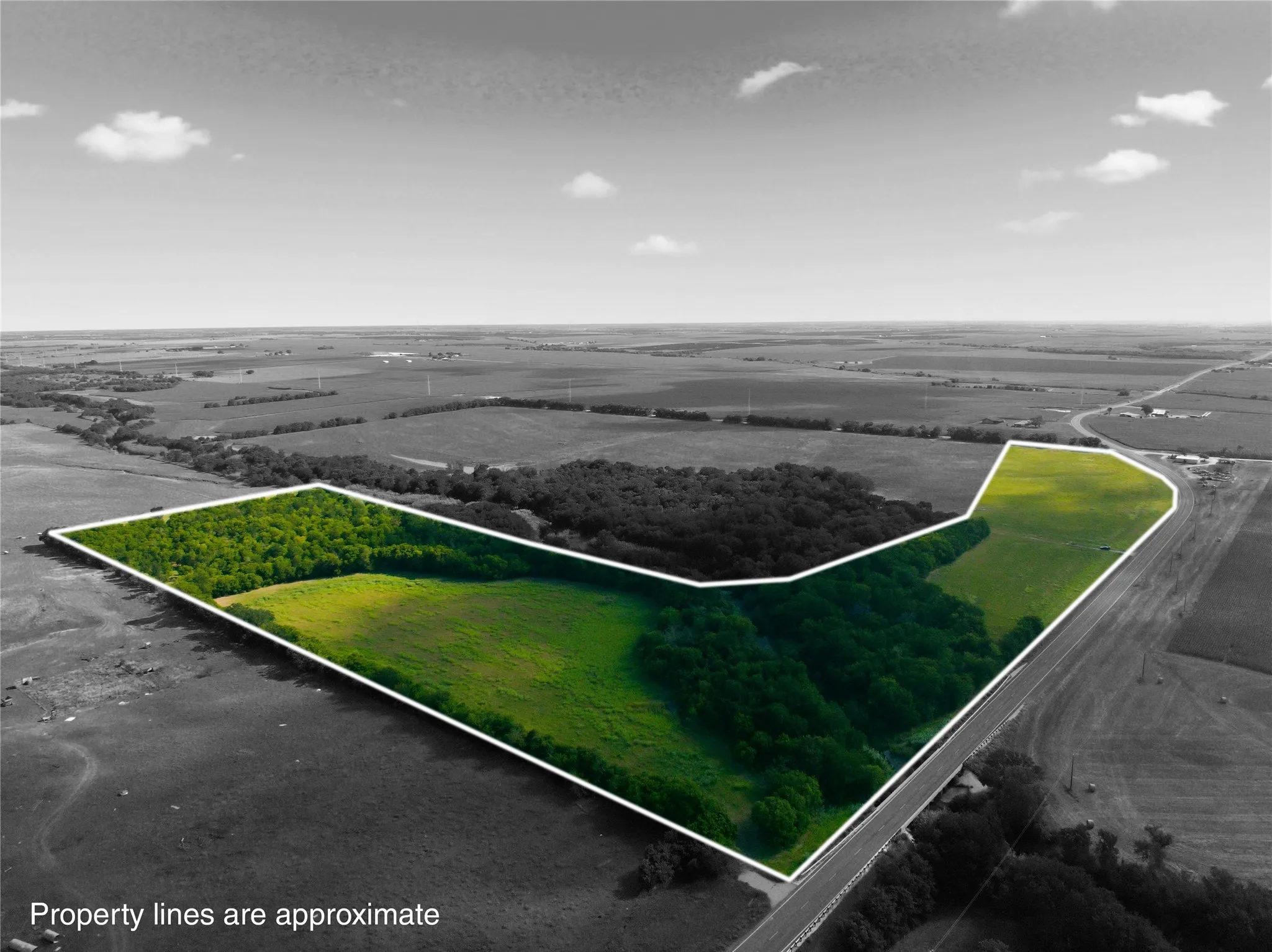 Expansive land parcel featuring a mix of open grassy areas and mature tree coverage