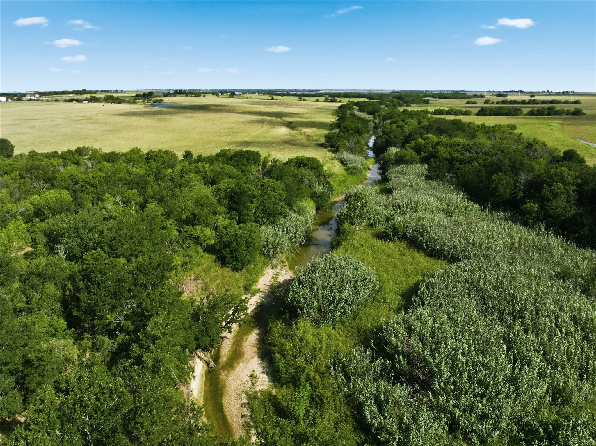 Meandering creek surrounded by lush green foliage and expansive open fields