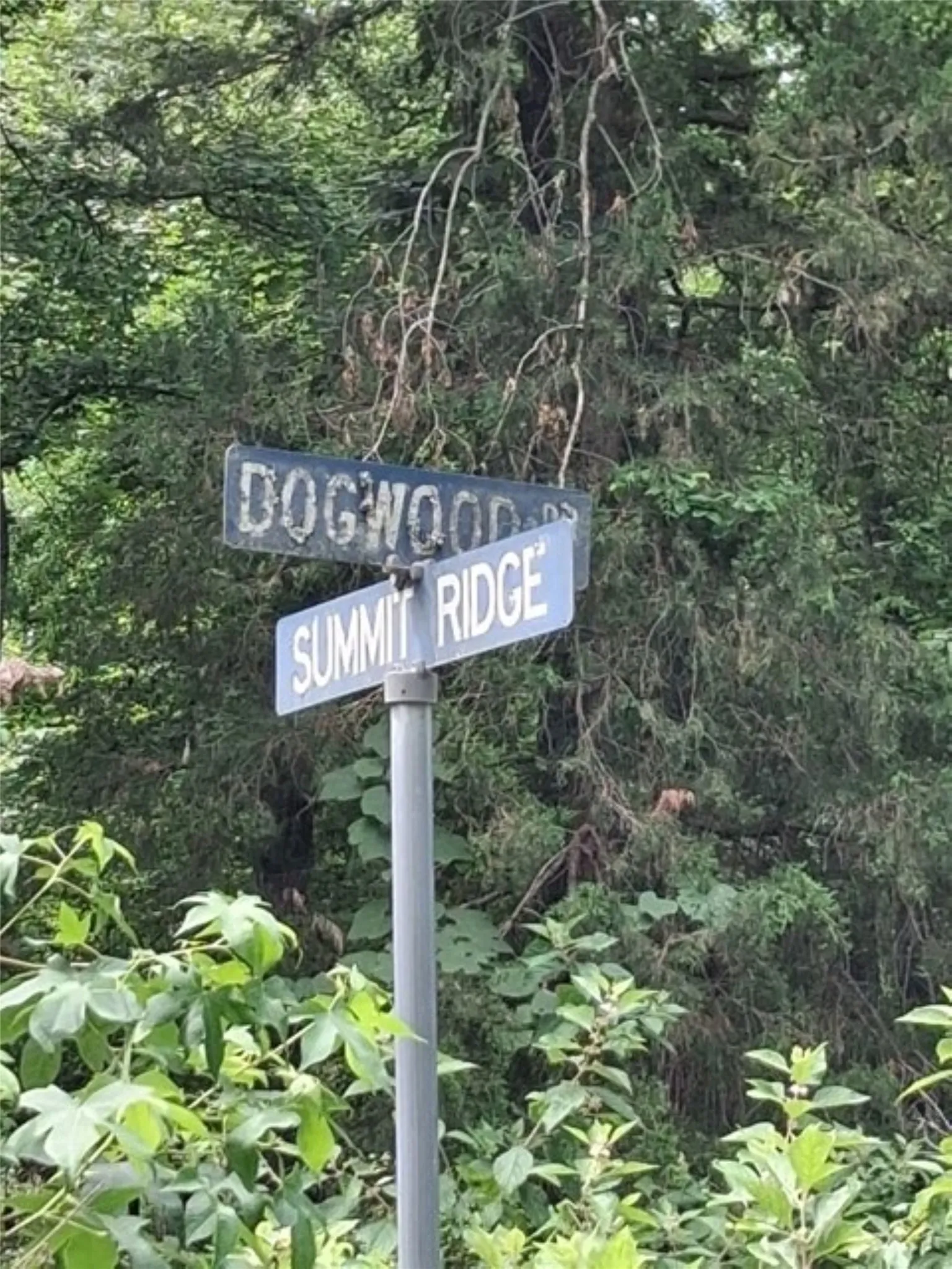 lots are located across from street sign for Dogwood and Summit Ridge