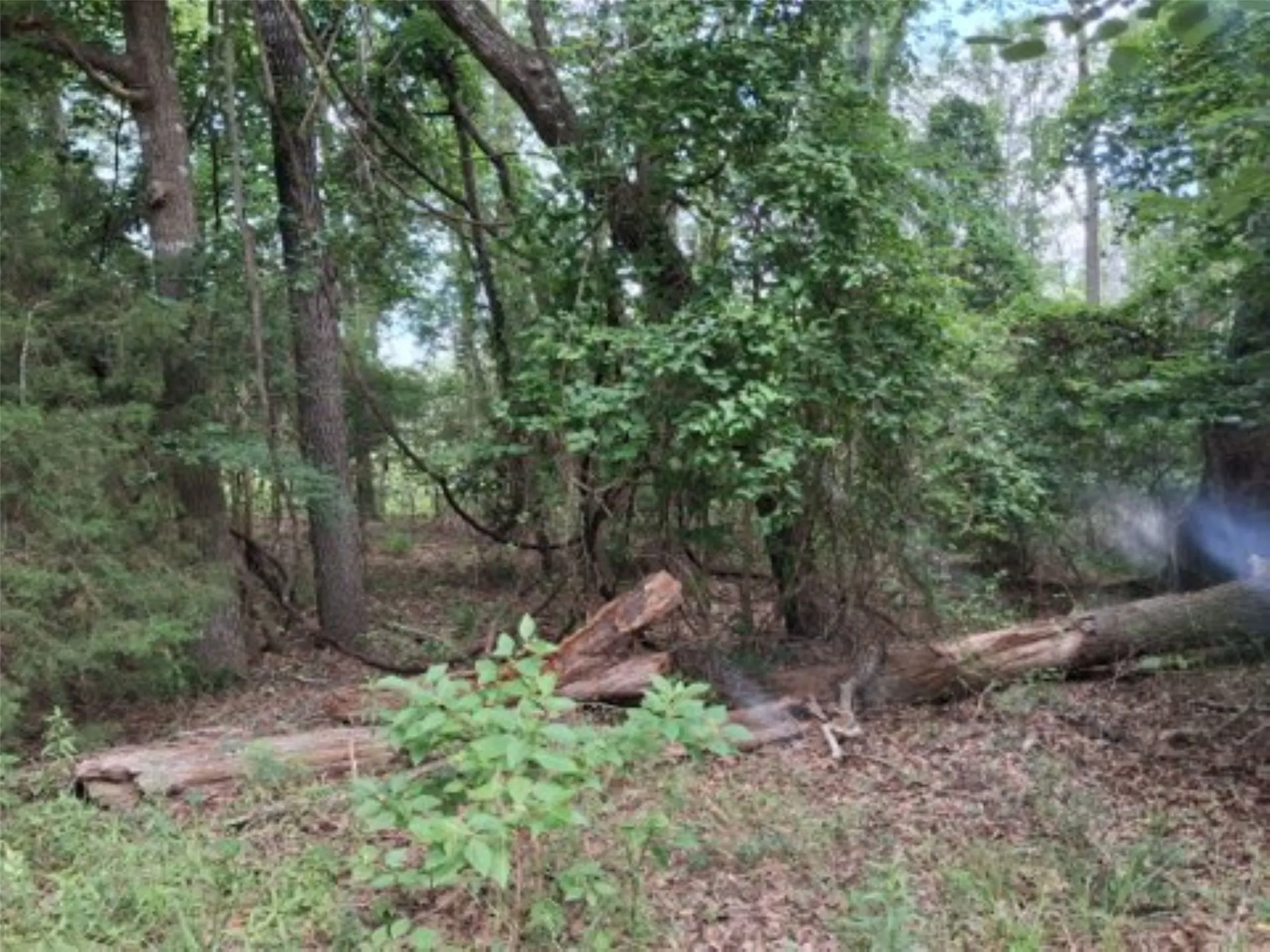view of one of the four lots